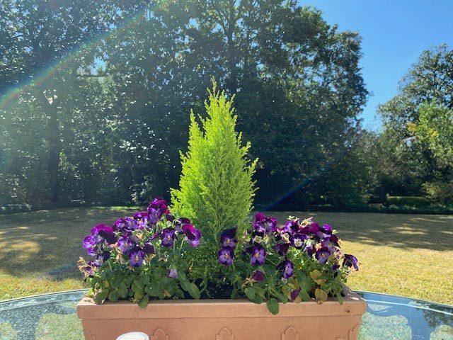 IMG_1325