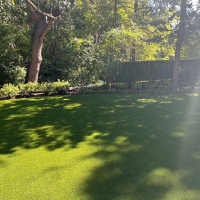 0BB3176C-F0E4-4F64-9D86-C631B065D454