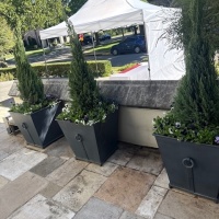 1_78182169745__65444587-8F75-469A-BDE9-3BBDC4F89468