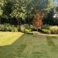 408F01E9-F9F6-49B1-B170-0C5627E12120