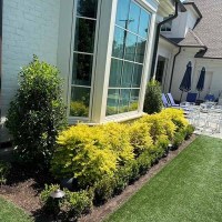 5F7C5EDE-ACAF-4E49-B2B9-15C022758AAC