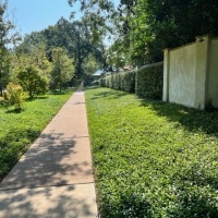 71796090938__E5A7674F-048C-4BA5-8216-CC3387BFB498