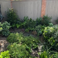 77266868043__6485AFF0-3B10-46BF-BA3F-AAF83FB5BD81