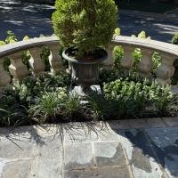 77266880078__4A04F6FF-C8D5-43C9-9D6C-EC50D69C9B68