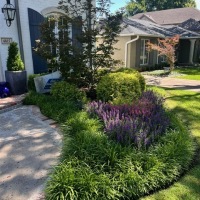 77273272485__0C988325-1701-498B-9120-BC7AE6C5881B