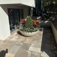 78182170667__12624900-D082-4C8C-863E-616D54842ABD