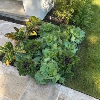 78216727257__026447A8-FE5F-43C6-8BD6-F76F8B941B43