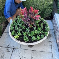 78216831145__750B60C3-2DEB-4F95-82C3-D567A61F589C