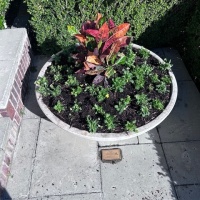 78216831968__389C8E49-AC9D-4128-B347-7E793FAC2418