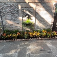 78268836561__C0F9ECCE-636D-4AE9-AFD0-5135F5104C8D