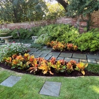 78276831448__6219D46F-26E1-4308-A3E2-20D3B230F44B