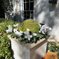 78362393199__BE2EF9C4-B29D-4C58-AF53-9611BD09F0E6