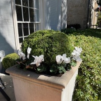 78362393709__49AE0370-63DB-4244-8E22-3326B3FF5761