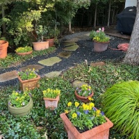 78467804997__9037E169-B35B-4EA0-94E3-D2DE1F34EF66