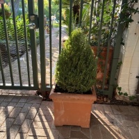 78467816389__B782A2CA-3E83-485E-9304-A80B32C620CD