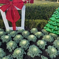 78467924060__929AE0CE-BAD7-4D65-B7F5-26467F4F85F5