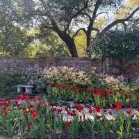 79504500189__B7CD00E1-8035-4CD7-9FB0-9B66F22CCF49