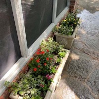 F22684A8-0052-4E85-BBEE-CE291745C2D9