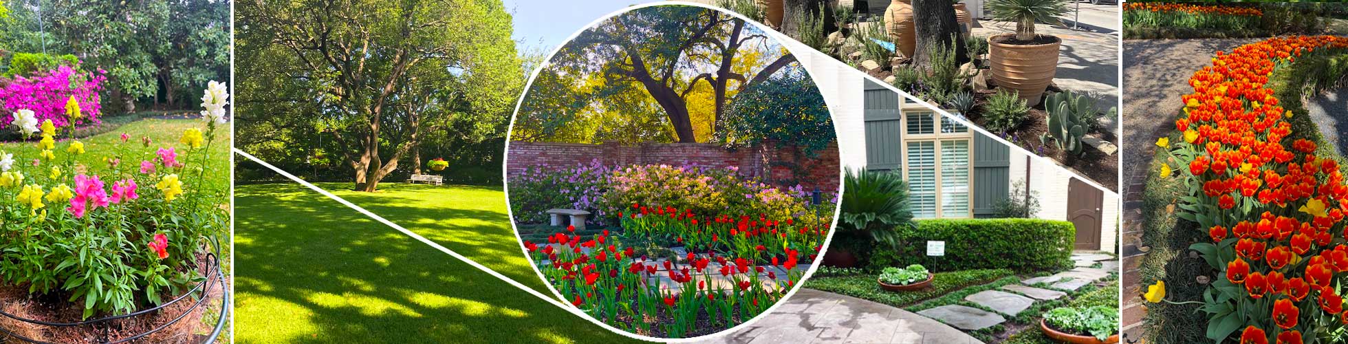 home-banner Collage of landscape photos